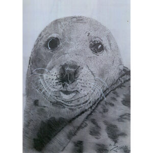 A5 Print Seal 1