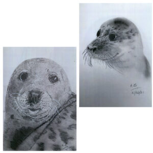 A5 Print Seal 1 and Seal 2